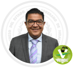 imagen de la Diputada Octavio Magaña Soto